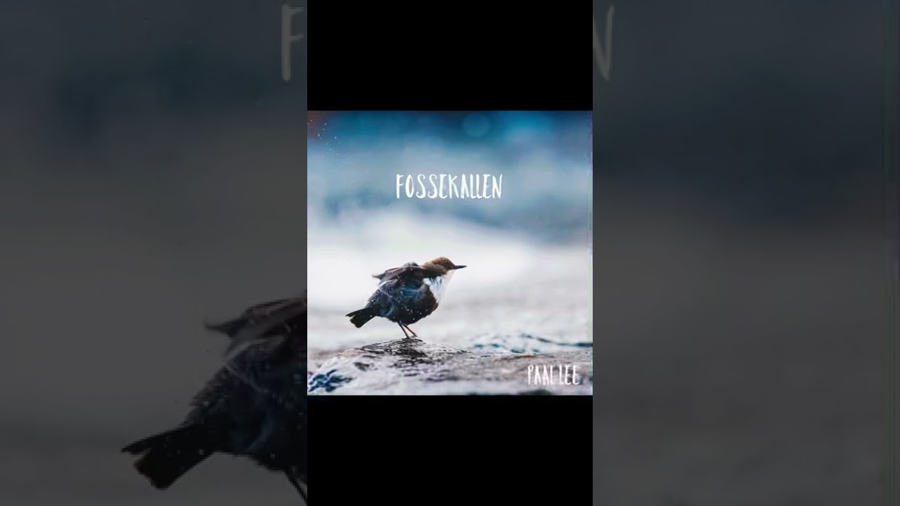Fossekallen