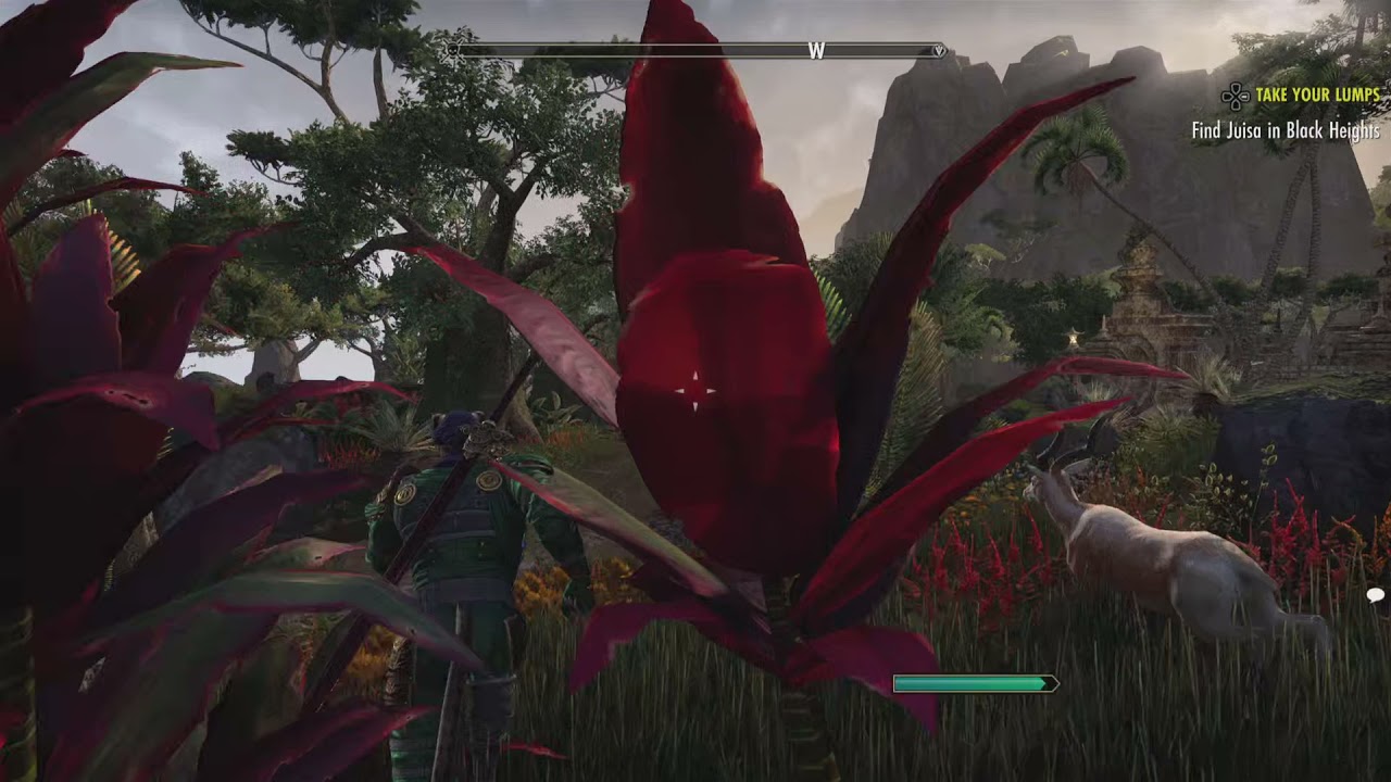 The Elder Scrolls Online - Lumpy Sack Mission, Elsywer