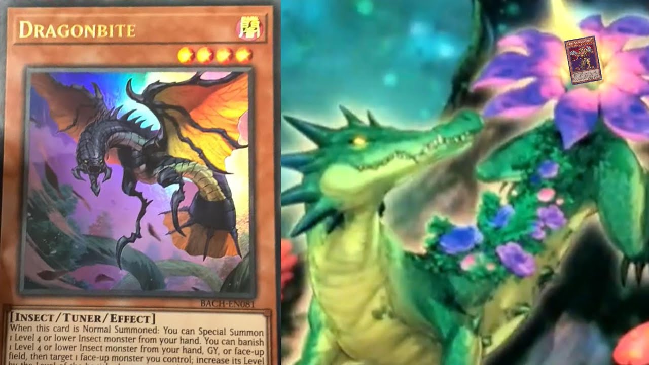 Dragonbite's ugly as hell...