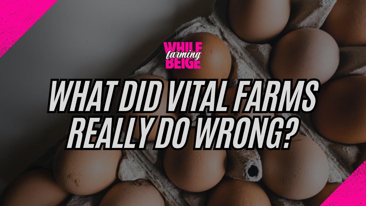 В чём же на самом деле ошиблась компания Vital Farms?