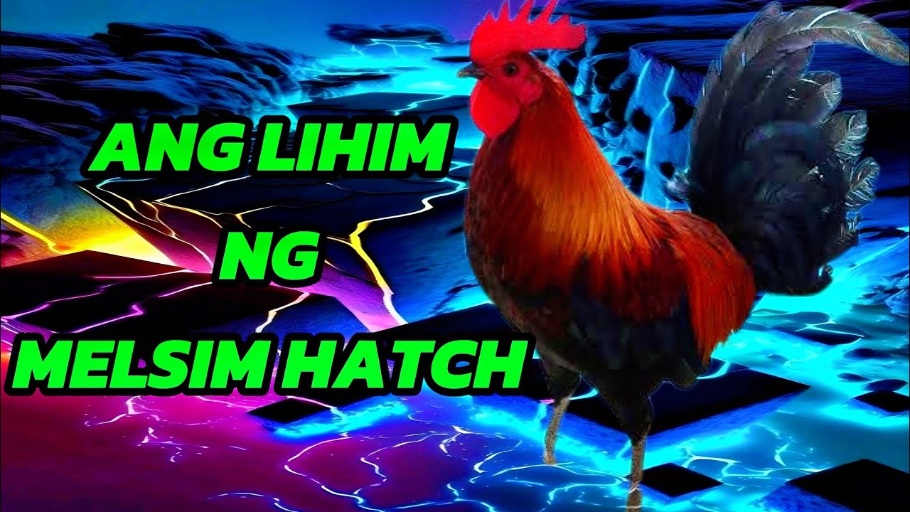 Melsims Black:  The Unstoppable Warrior!  Tiyaga at Lakas!
