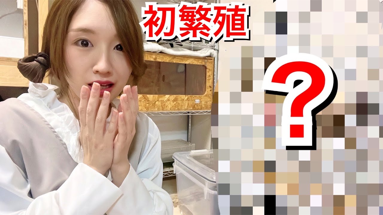 自宅で○○○○の赤ちゃんが生まれてるんだけど…？！