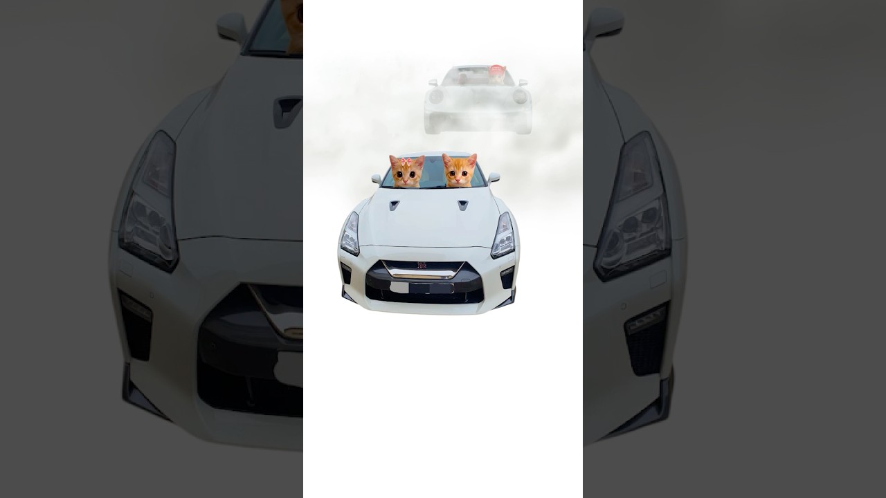 Что такое Nissan get