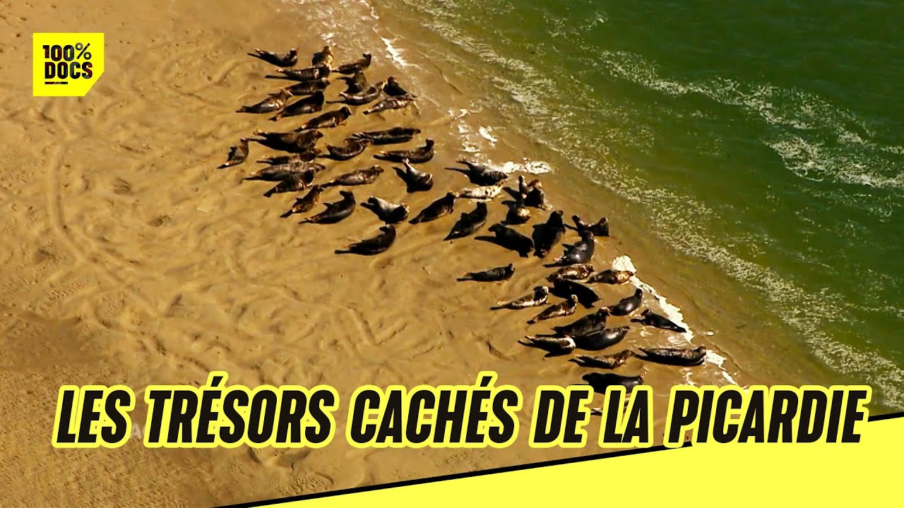 Découvrez la Picardie comme vous ne l'avez jamais vue !