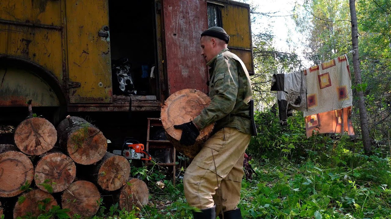 5 ДНЕЙ В ТАЙГЕ, ВШИ ЗАЕДАЮТ! РЕМОНТ ИЗБЫ, ЗАГОТОВКА ДРОВ, ОХОТА НА БОРОВУЮ ДИЧЬ.