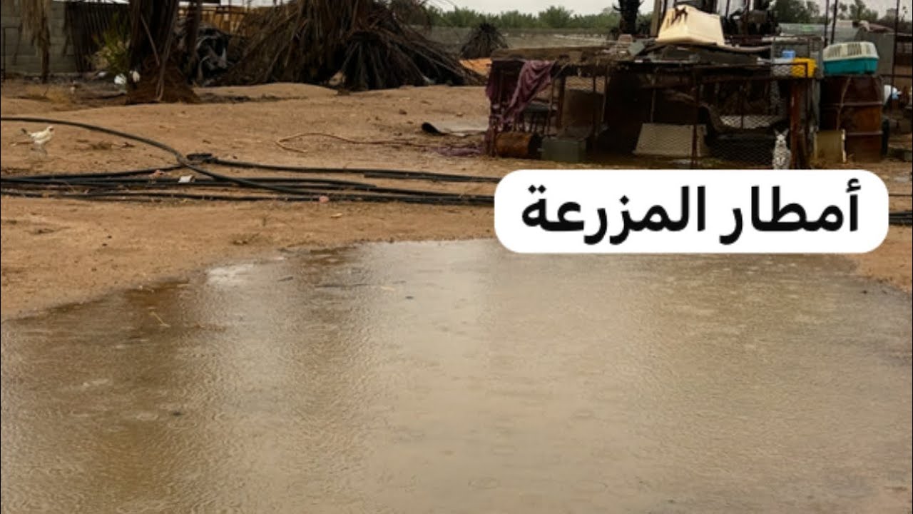 أمطار قوية على المزرعة الأعلاف كلها ماء#اكسبلور 