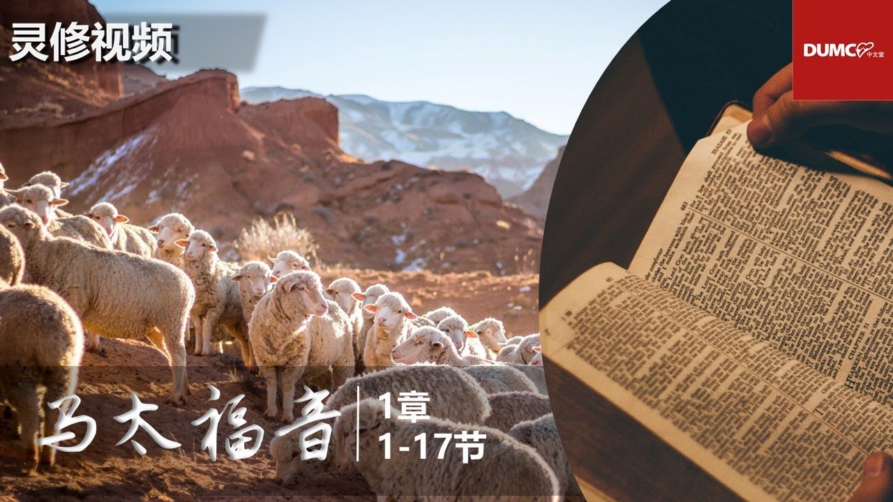 灵修视频：马太福音 1：1-17【耶稣基督的家谱】
