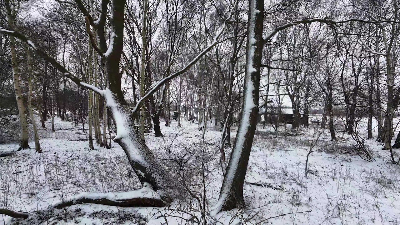 Mit der Neo 2 im Schnee