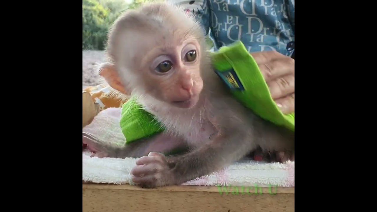 cute baby little tin baby rojo take Bath