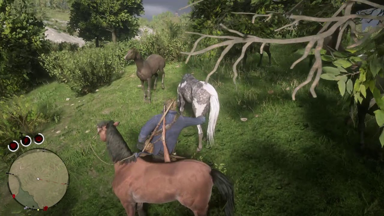 Red Dead Redemption 2: #1 Best Horse Tamer