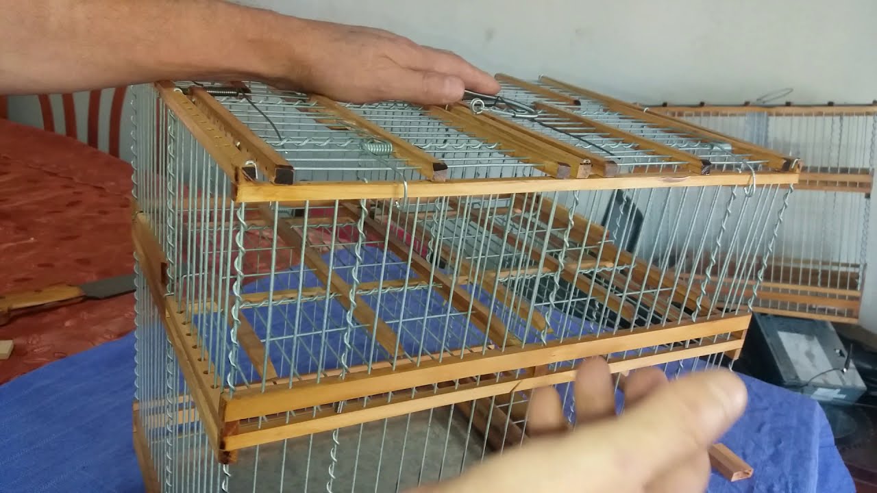 Trampera doble para cardenal . double trapper