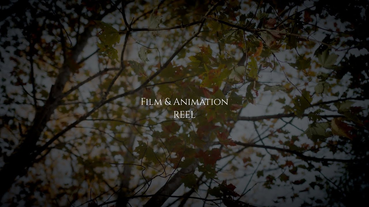Kevin DeShields Film & Animation Reel