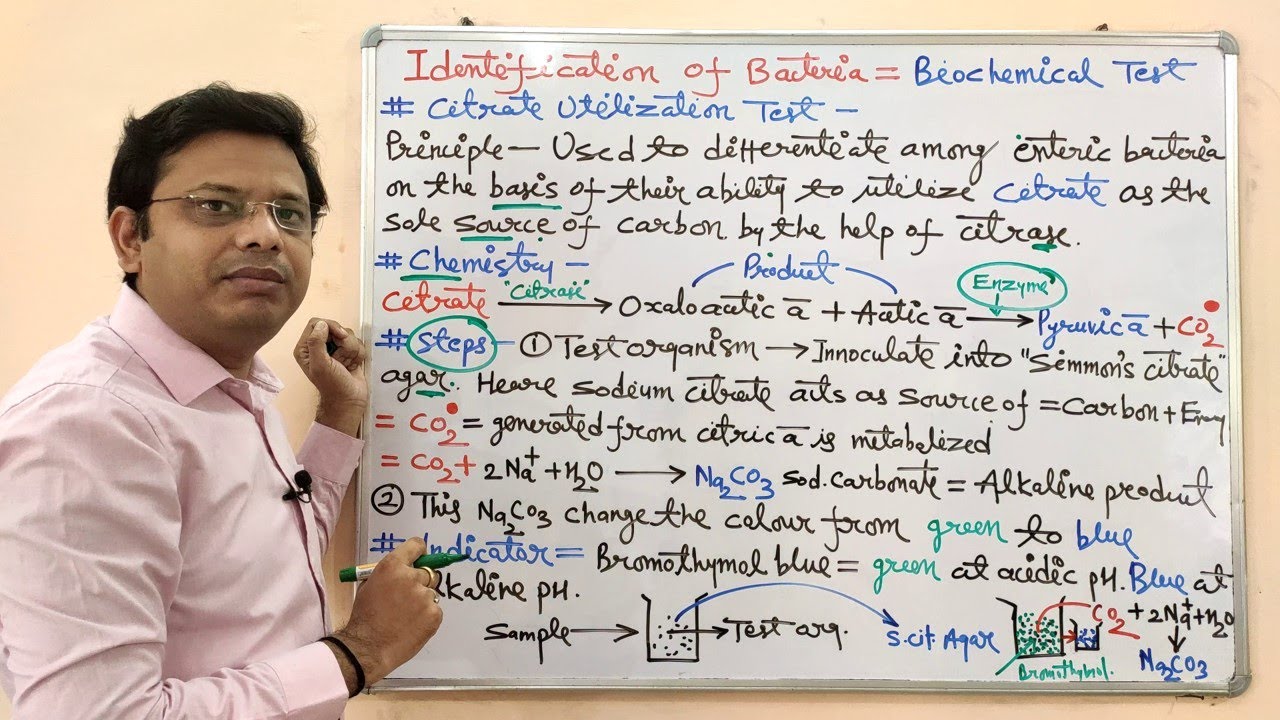 Microbiology 52 = Identification of Bacteria (Part-07 Final) | Citrate Utilization Test for Bacteria