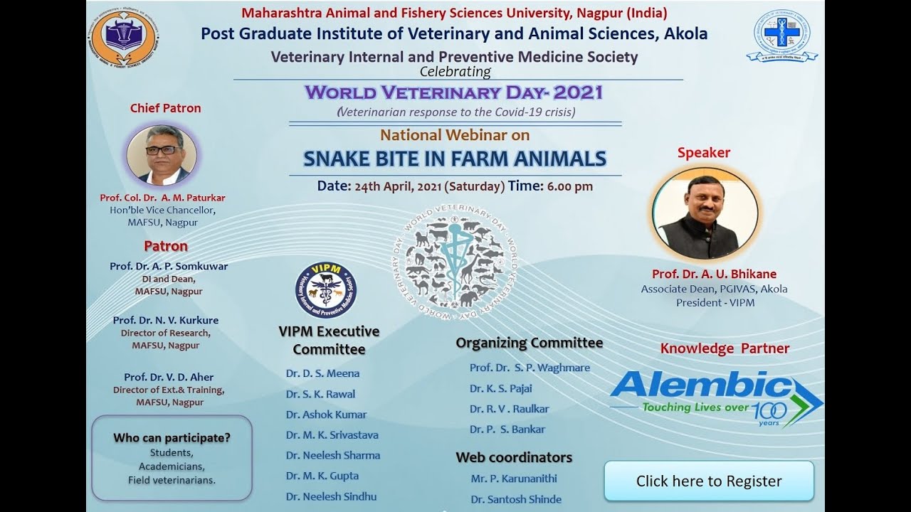 SNAKE BITE IN FARM ANIMALS