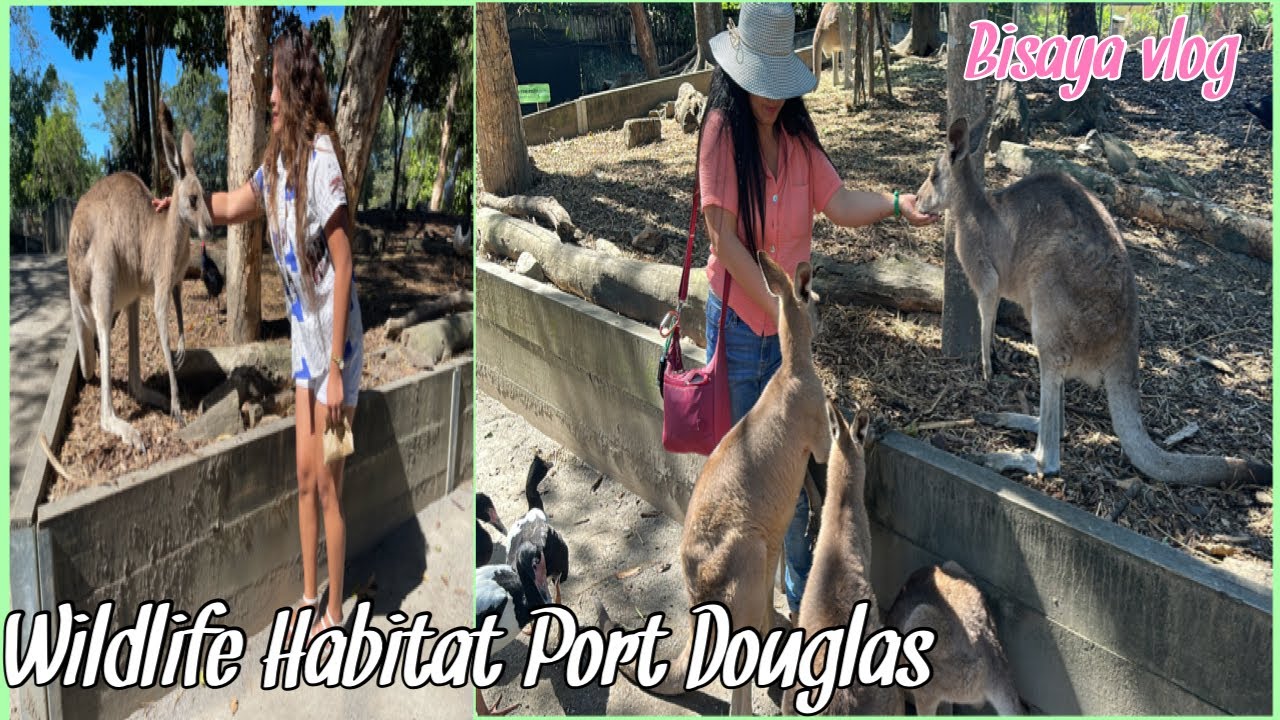 Visiting Wildlife Habitat Port Douglas, Queensland, Australia //Cheche Lañojan