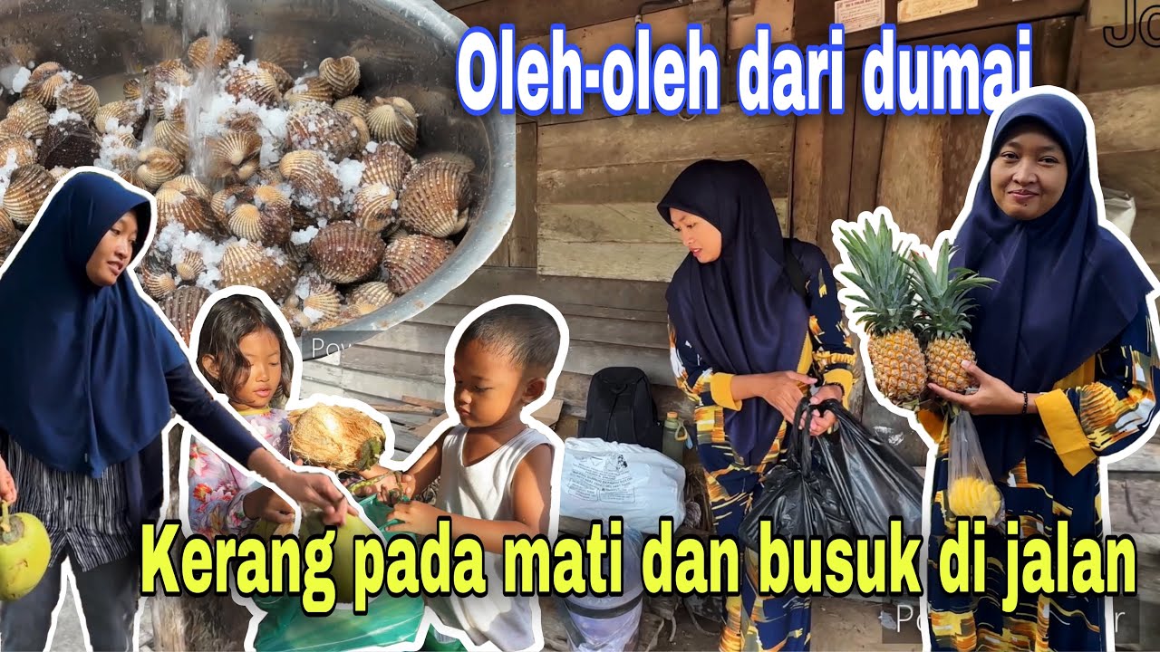 BANYAK OLEH-OLEH DARI DUMAI⁉️ KERANG PADA MATI DAN BUSUK DI JALAN
