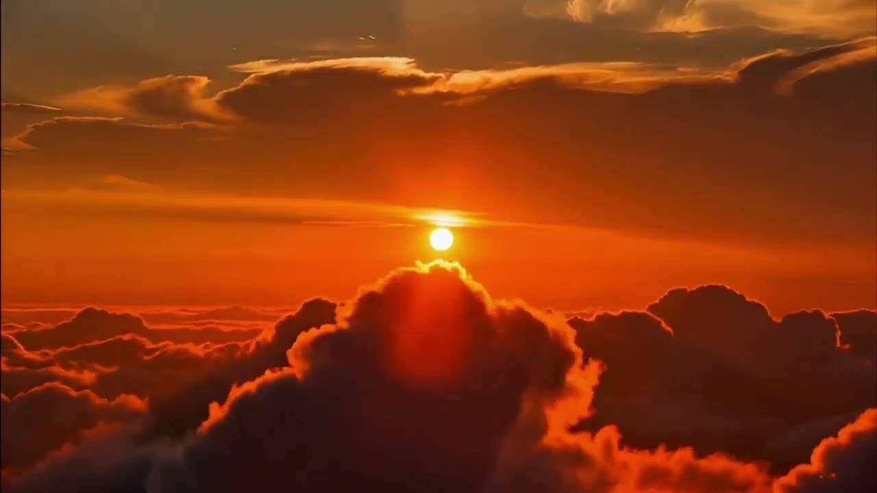 Moondahlia - Never Was, But Always Will Be.mp4