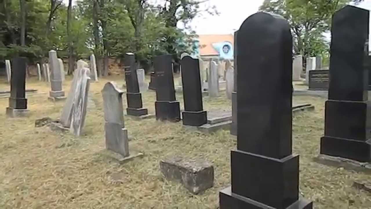 Novoz&aacute;mock&yacute; židovsk&yacute; cintor&iacute;n ( ortodoxn&yacute;)