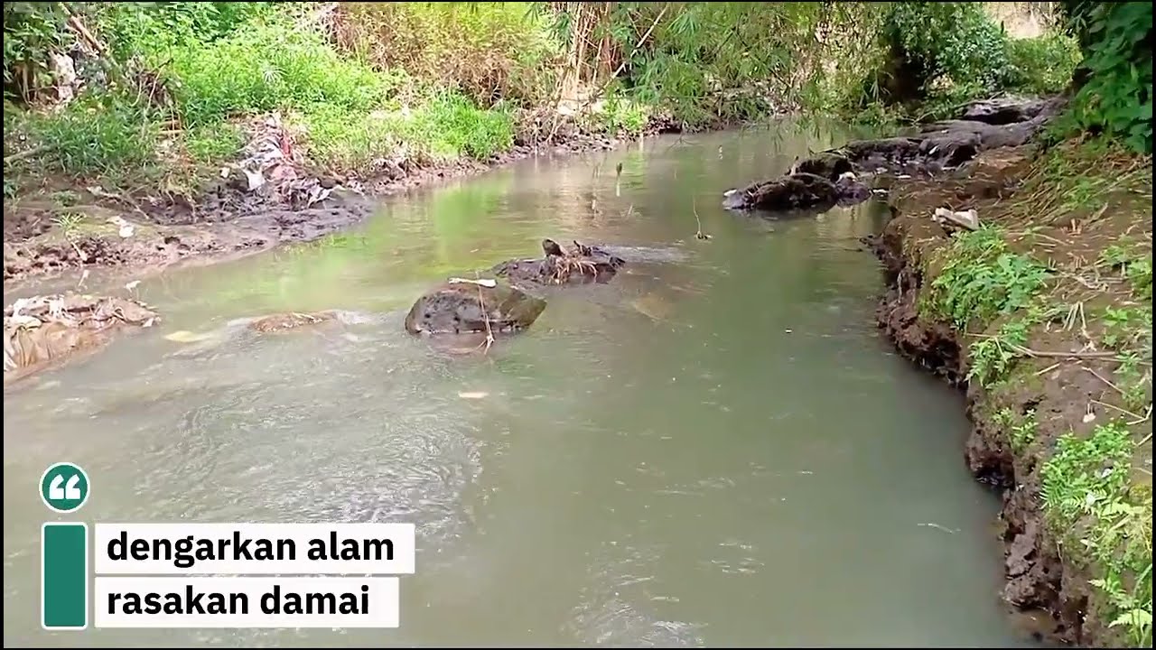 Suasana Sejuk Sungai Alami & Alam yang Asri 🍃.#pemandangansungai #relaxing 
