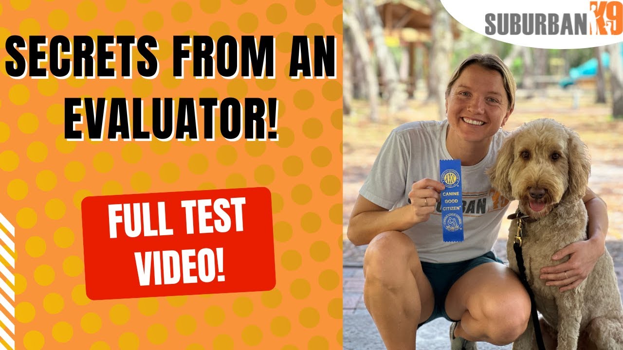 How to Pass The AKC Canine Good Citizen Test (CGC Test)