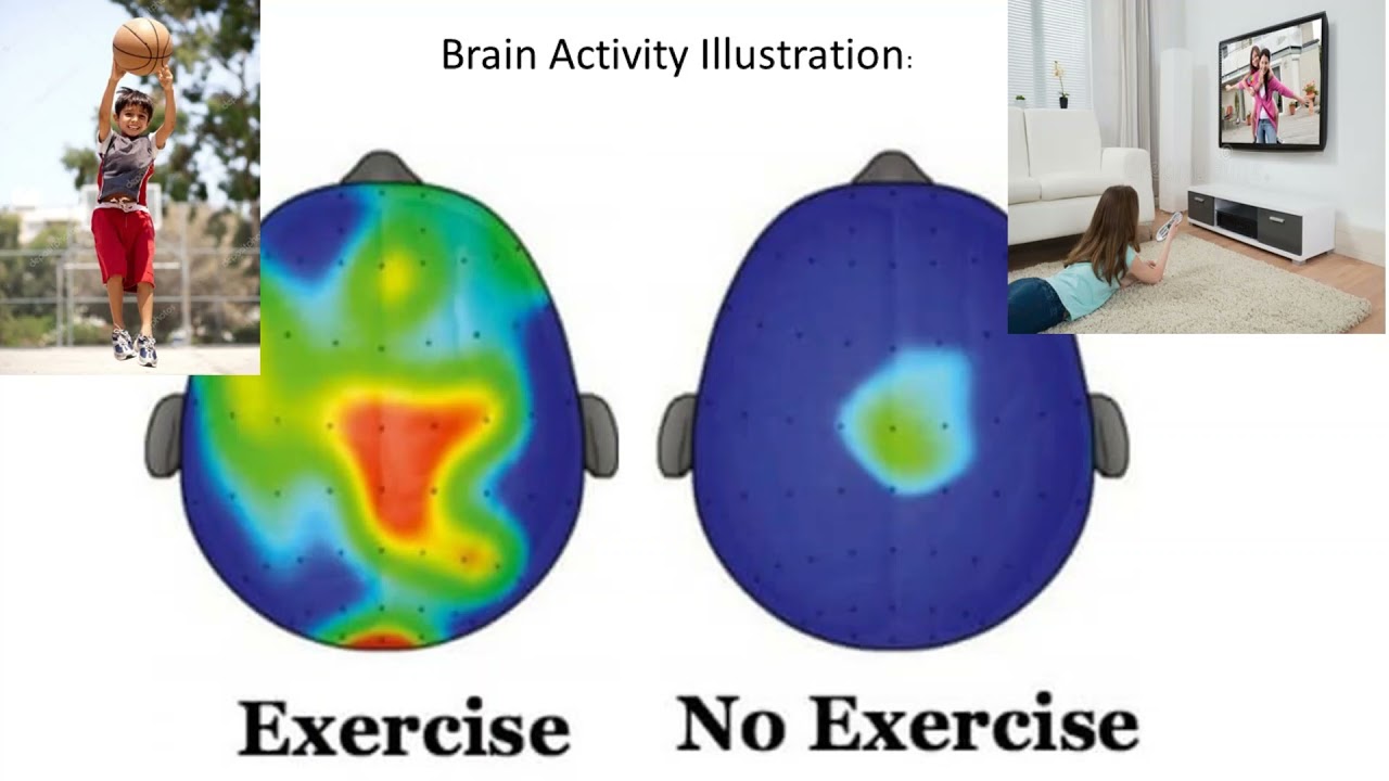 Christian's Brain Project