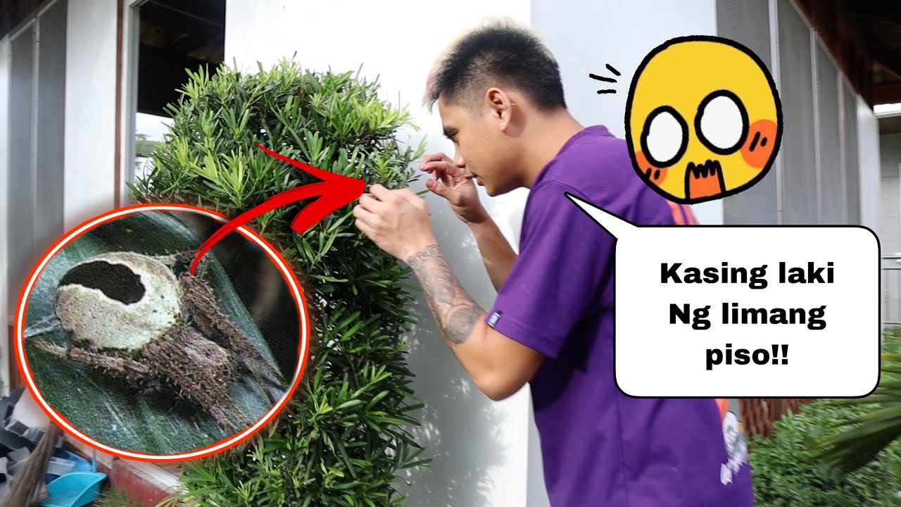 #314 GAANO NGA BA KALAKI ANG NAHULI NAMEN??