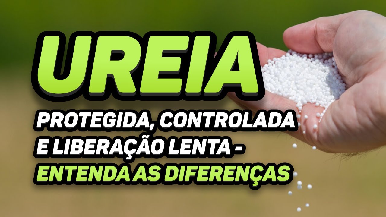 Ureia protegida, liberação lenta e controlada, entenda as diferenças.