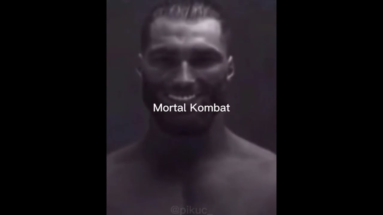 (Compilado Shitpost) #77