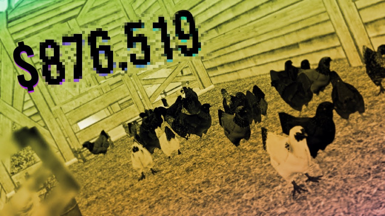 SeeMTA s03e24 | Csirkékben van a sok pénz, de még mennyi!