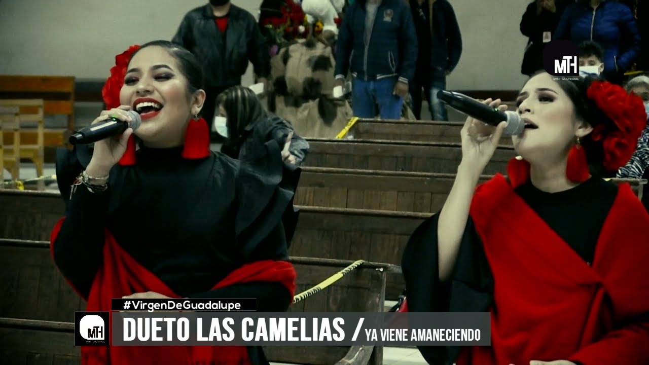LAS CAMELIAS DE MATEHUALA - YA VIENE AMANECIENDO