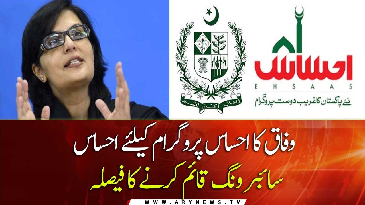 Govt decides to establish cyber crime wing for Ehsaas programme