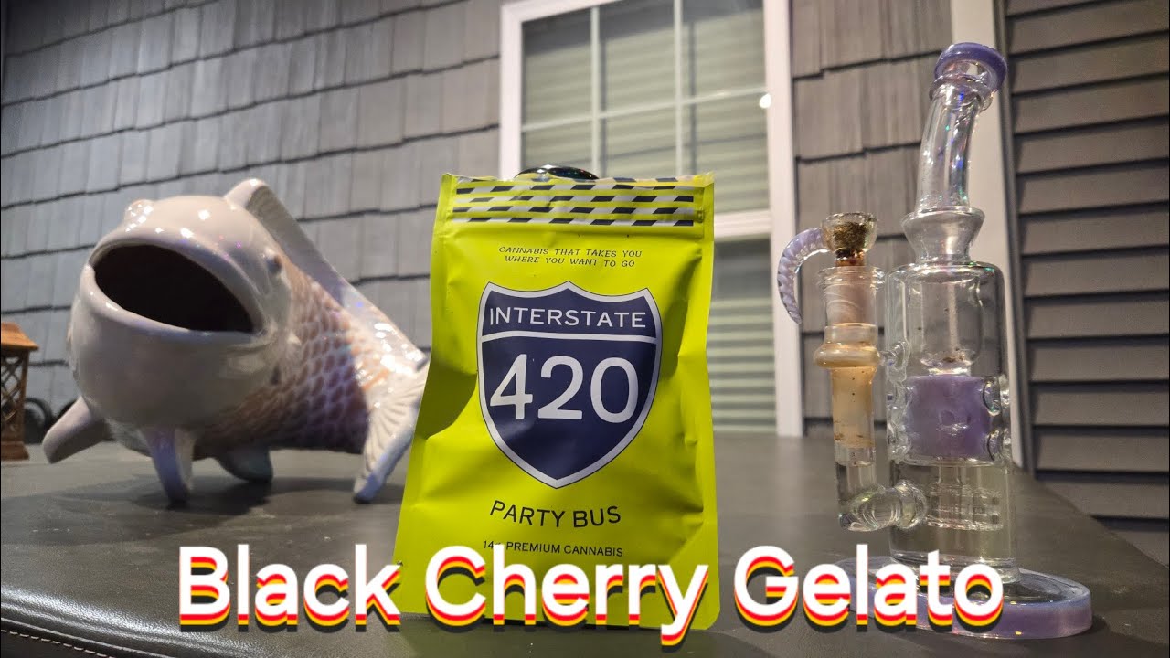Black Cherry Gelato from Interstate 420, strain review.