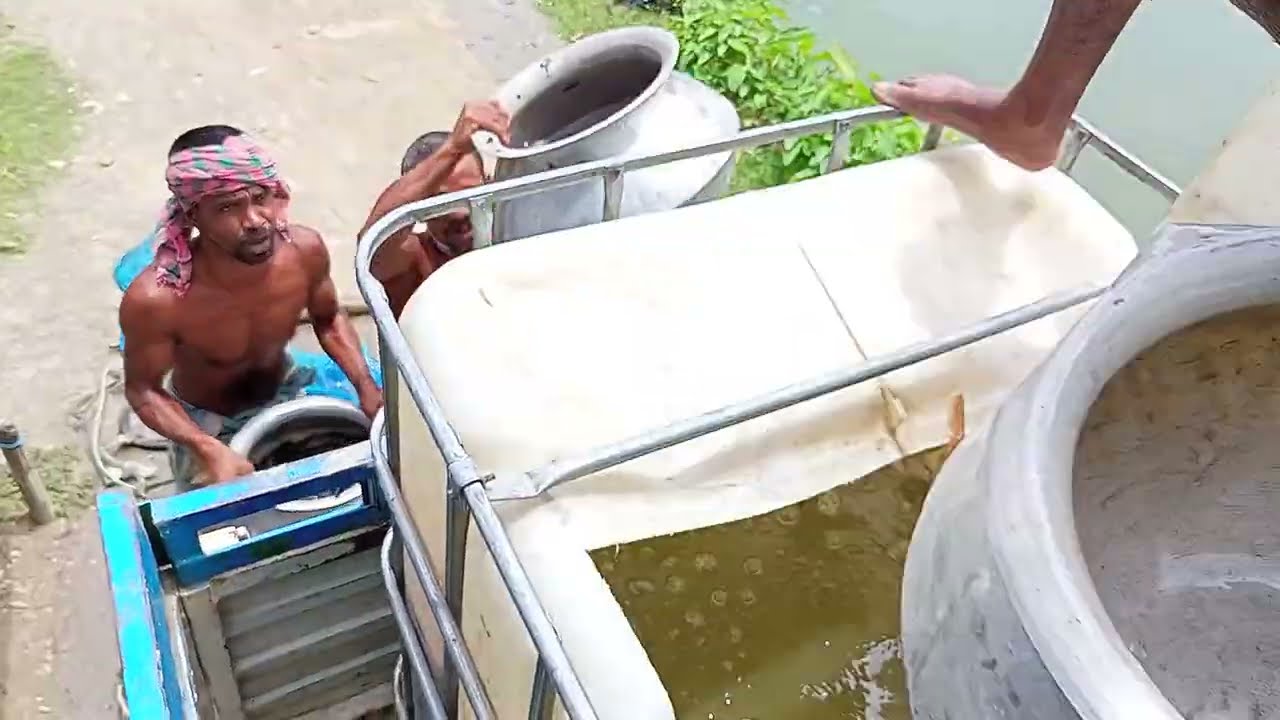 গাড়ি করে সারা বাংলাদেশে কিভাবে মাছ নেওয়া হয় দেখুন অক্সিজেন দিয়ে / কাতল রুই মাছ ভেলিভারি দেওয়া