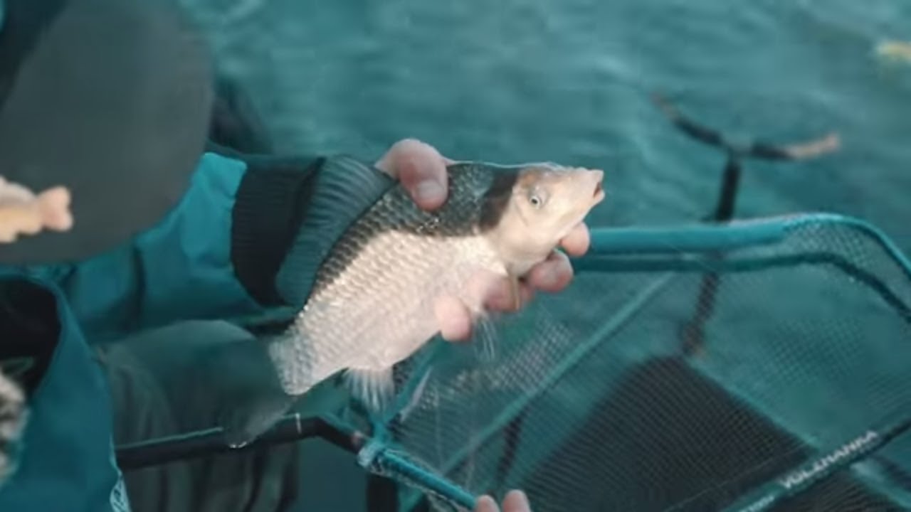&Scaron;iandien kimba 190519 Nemuno karosai ir spiningavimo varžybos