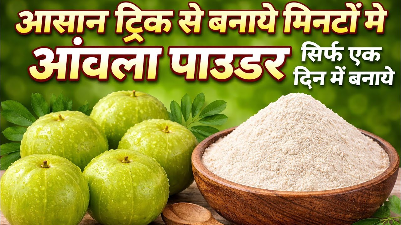 सिर्फ 5 मिनट की मेहनत से सालों साल इस आंवला पाउडर से सेहत पाएं l Amla Powder l Gooseberry Powder l 