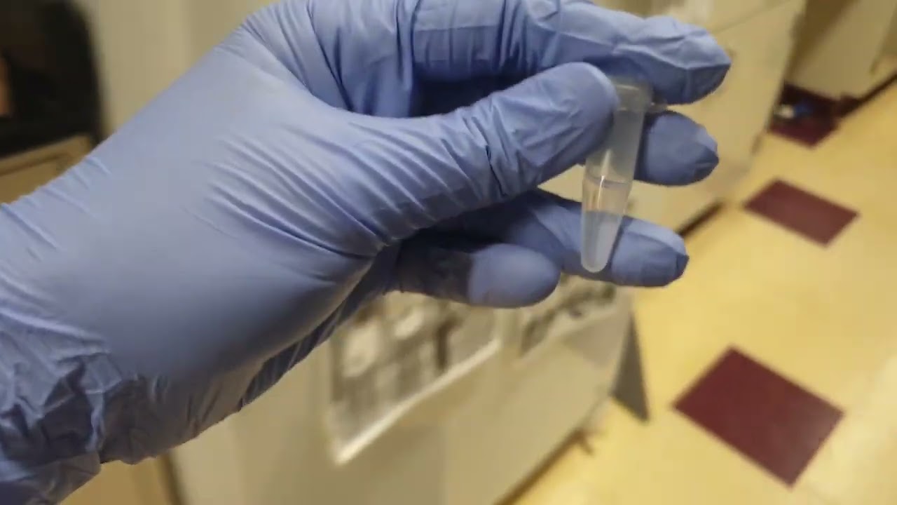 How to Perform an Exo-AP Cleanup for Post-PCR products?