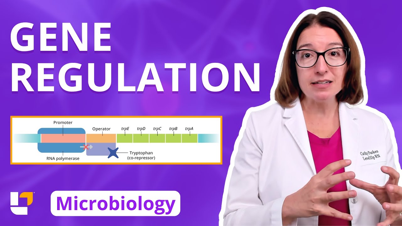 Gene Regulation: Microbiology Genetics Pre-Nursing / Med & Health Field Careers | @LevelUpRN