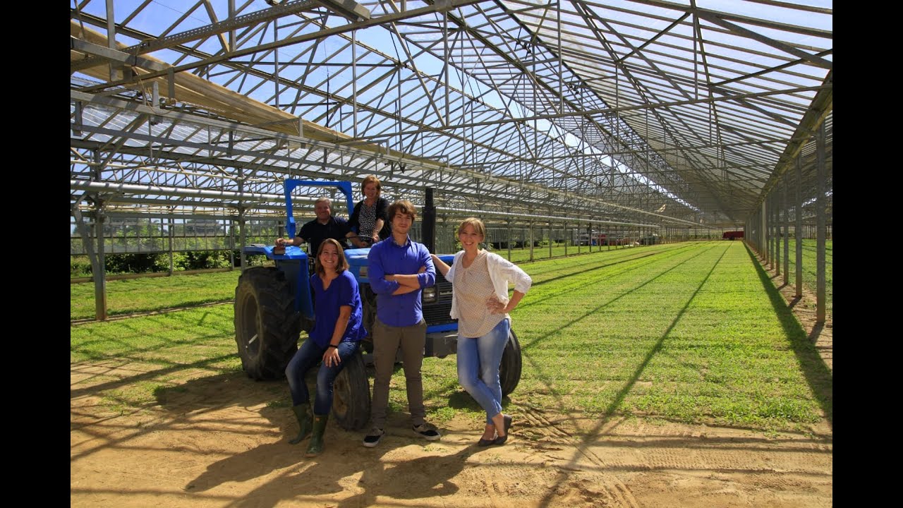 Quarta Gamma Biologico, insalata pronta al consumo, azienda agricola Famiglia Barduca Borgoricco PD