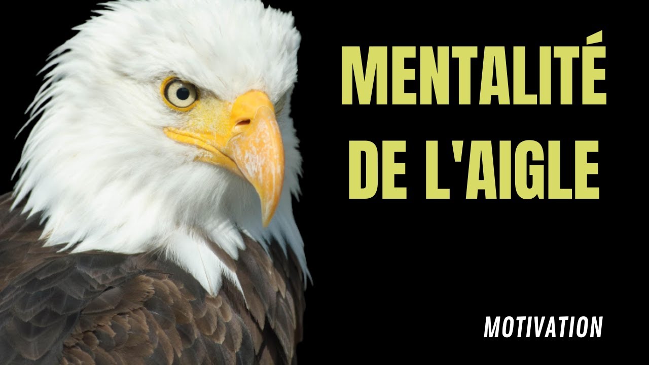 LA MENTALITÉ INSPIRANTE DE L'AIGLE : UNE LEÇON D'EXCELLENCE ET DE LEADERSHIP (video de motivation)