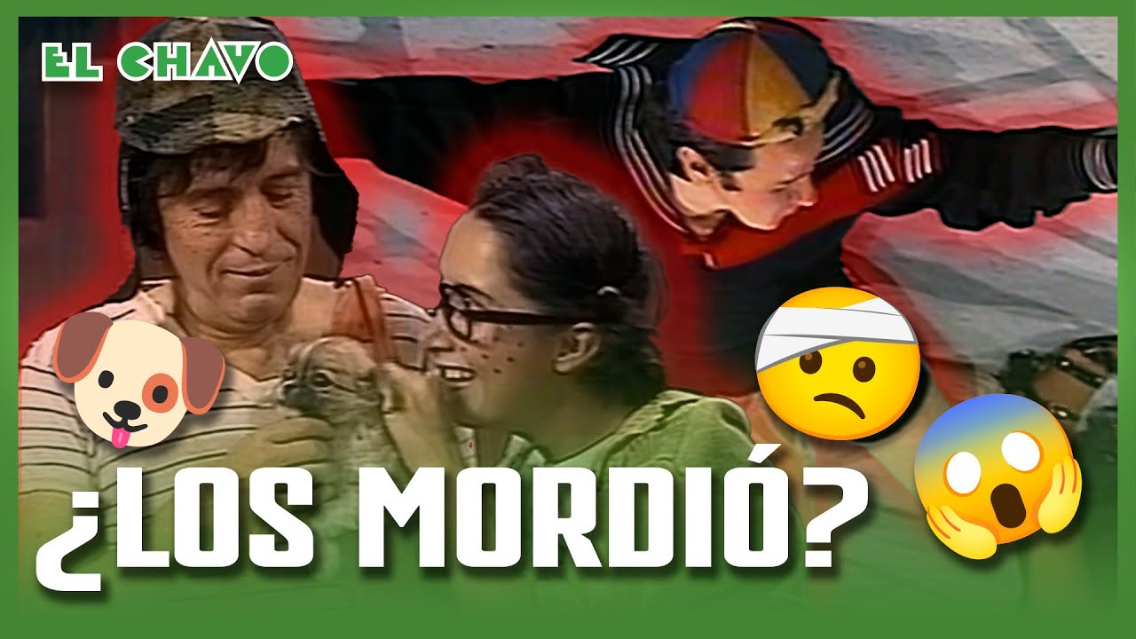 El Chavo del 8: El perro del Chavo