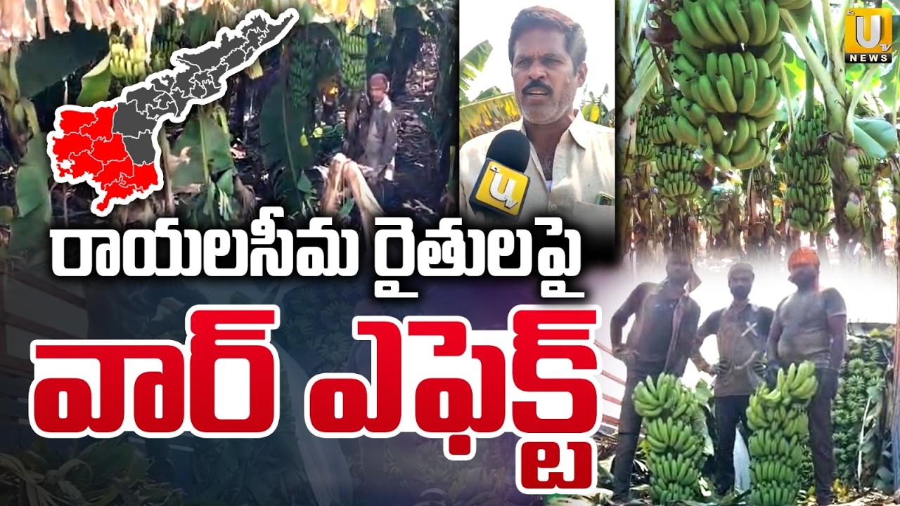 US Israel Iran War Effect on Banana Farmers: రాయలసీమ రైతులపై వార్ ఎఫెక్ట్ | Rayalaseema | ITS UTV