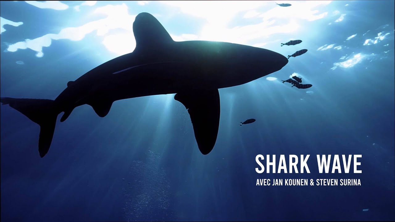 SHARK WAVE - Jan Kounen plonge avec les requins - Film entier - English and French subtitles