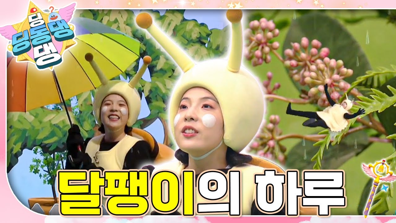 🐌보슬보슬 비가 와요~ 느릿느릿 달팽이~ㅣ딩동댕 딩동댕ㅣ달팽이의 하루