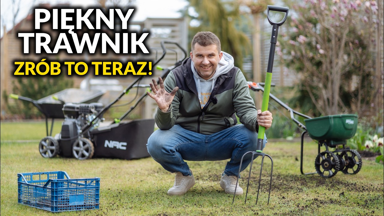 TAK odnowisz trawnik w kilka DNI! Wiosenna Pielęgnacja, kt&oacute;ra poprawi Tw&oacute;j trawnik.