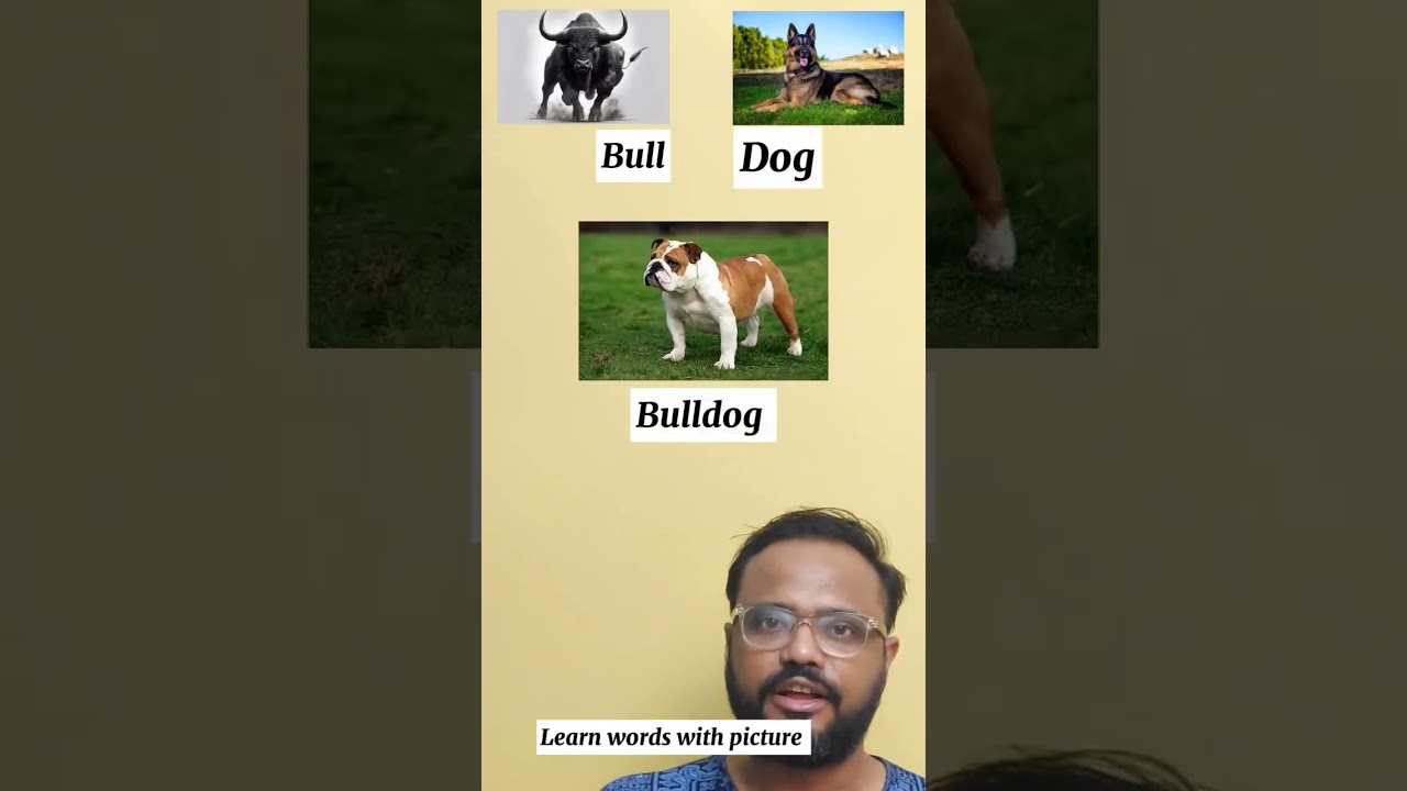 Learn words with picture. #spokenenglishtips #interesting #englishvocabulary