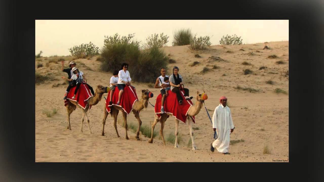 Desert Safari Dubai, Camel Desert Safari Dubai, Camel Riding Dubai: RFK Holidays
