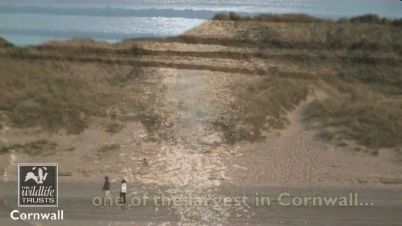 Upton Towans Nature Reserve - Cornwall Wildlife Trust