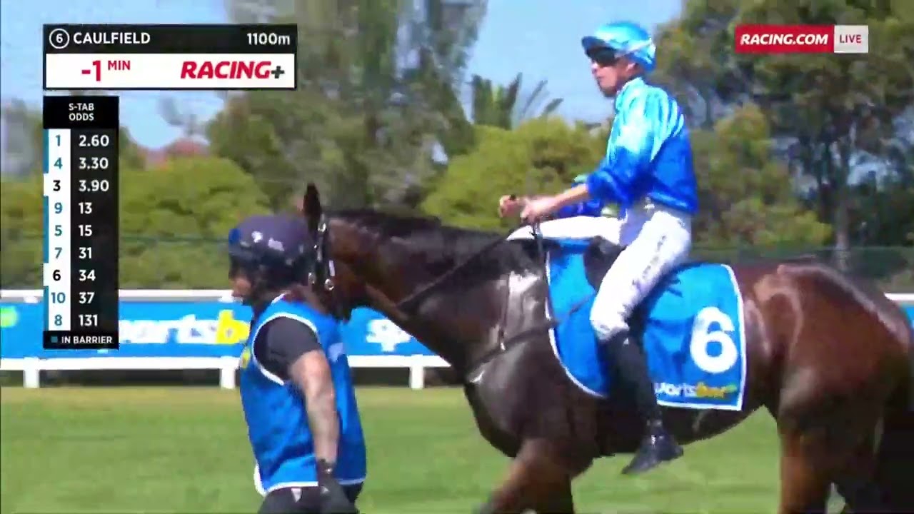 🔥BODYGUARD (AUS)🔥 - 2024 Blue Diamond Prelude C&G (2YO OPEN SW G3 CG) Group 3 Caulfield 10 February