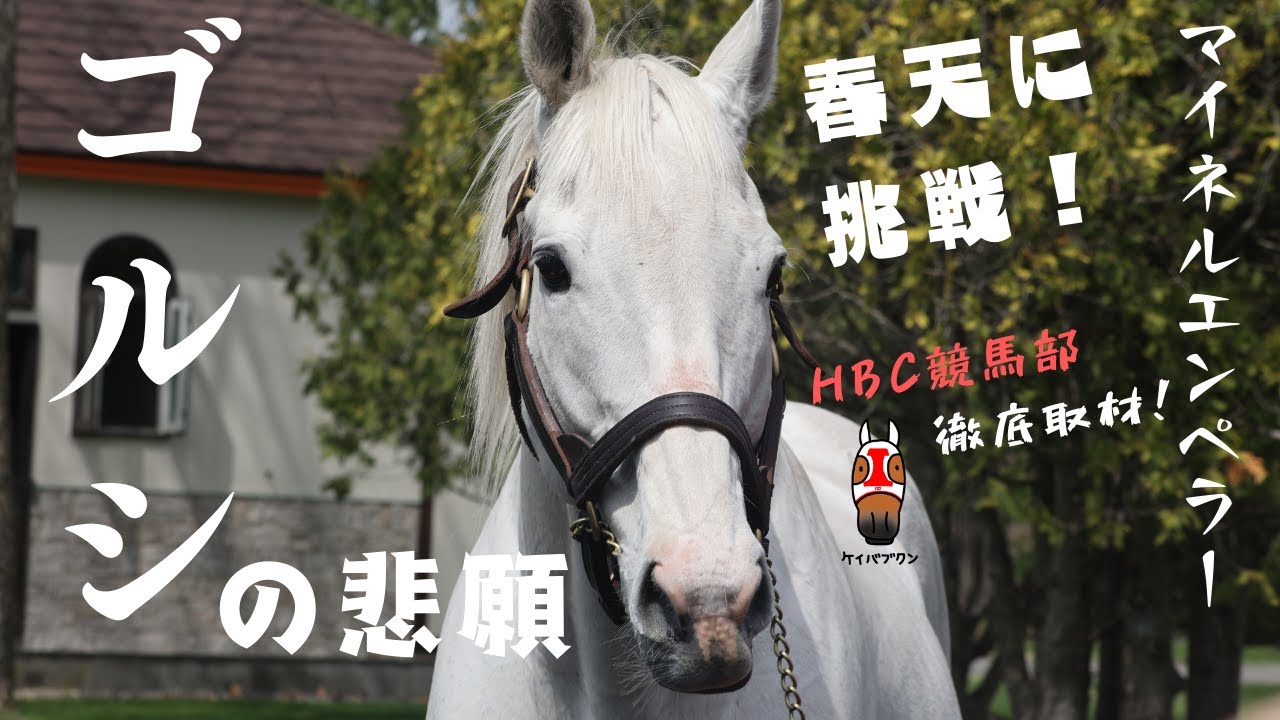【天皇賞春　直前】マイネルエンペラー　牧場リポート！2歳時の映像に、最新ゴールドシップも！