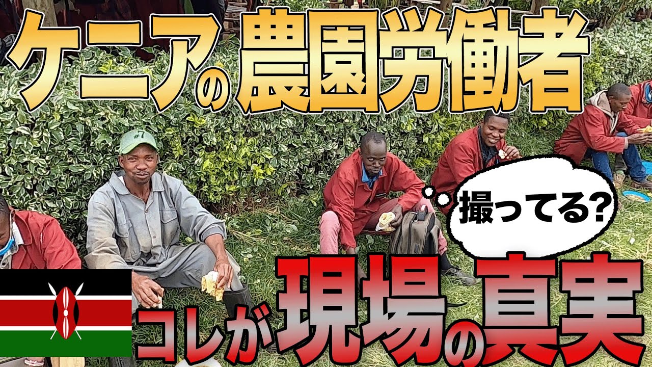 【ケニアの真実】